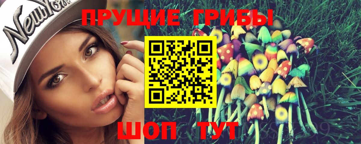 Красный Сулин  Псилоцибиновые грибы Cubensis  Вход с VPN 