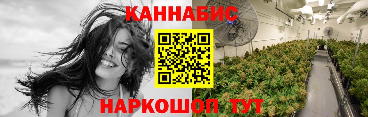 Конопля MAZAR  Канабис сатива  Красный Сулин  Вход с VPN  МАРИХУАНА OG Kush 